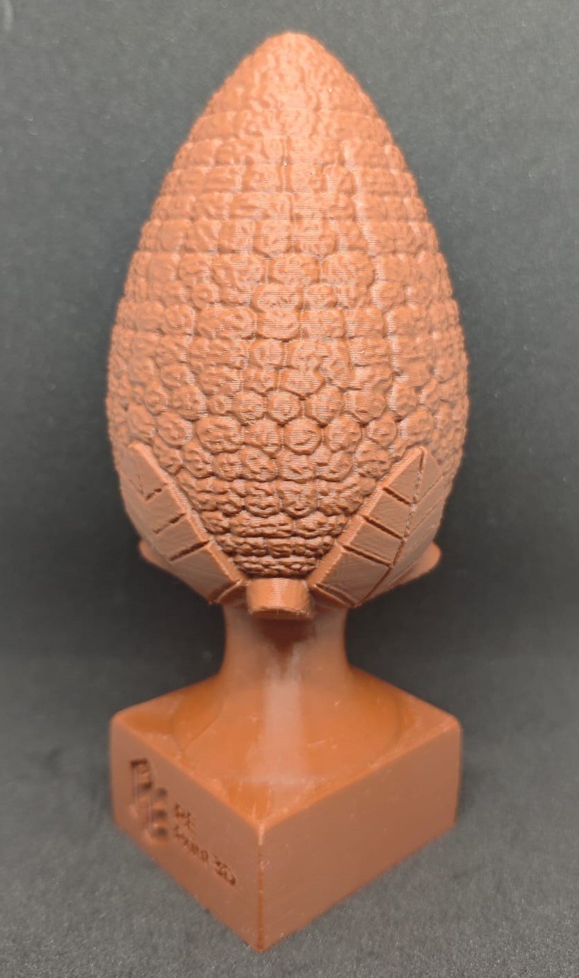 Pinha Tradicional - Imagem 4