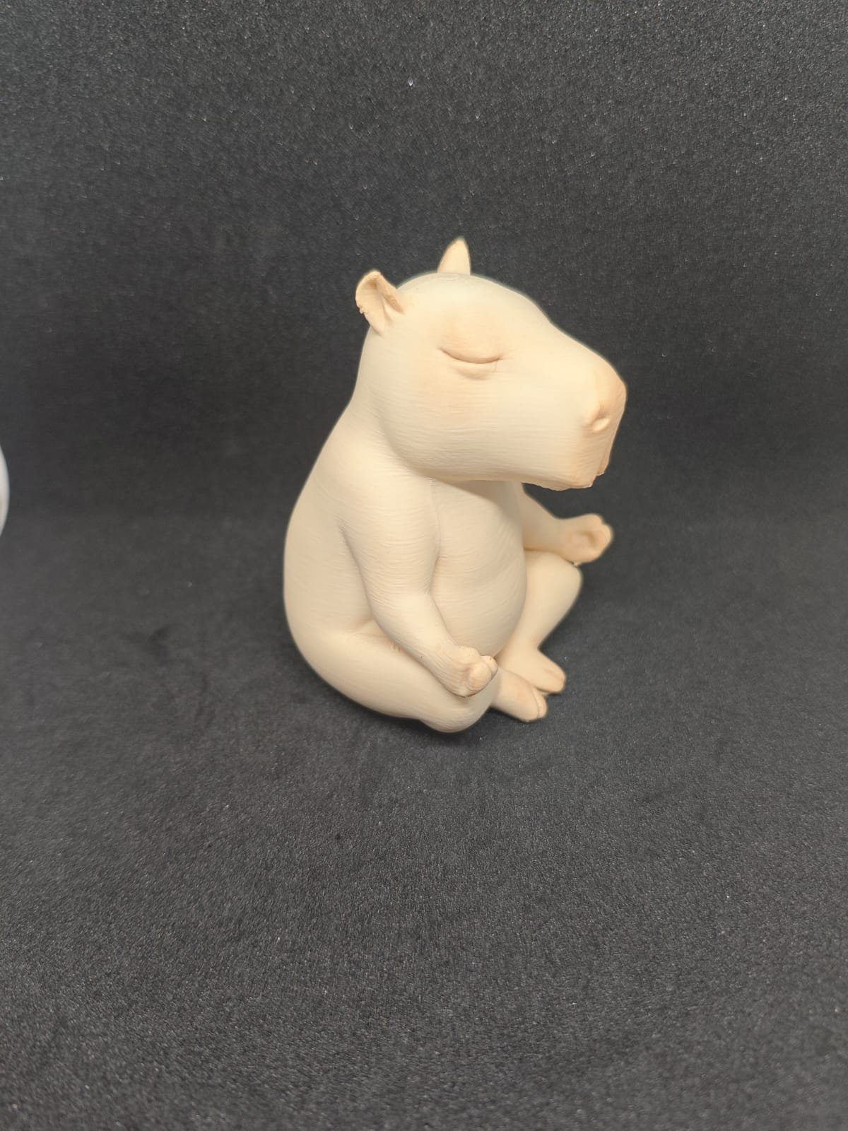 Capivara Zen - Imagem 4