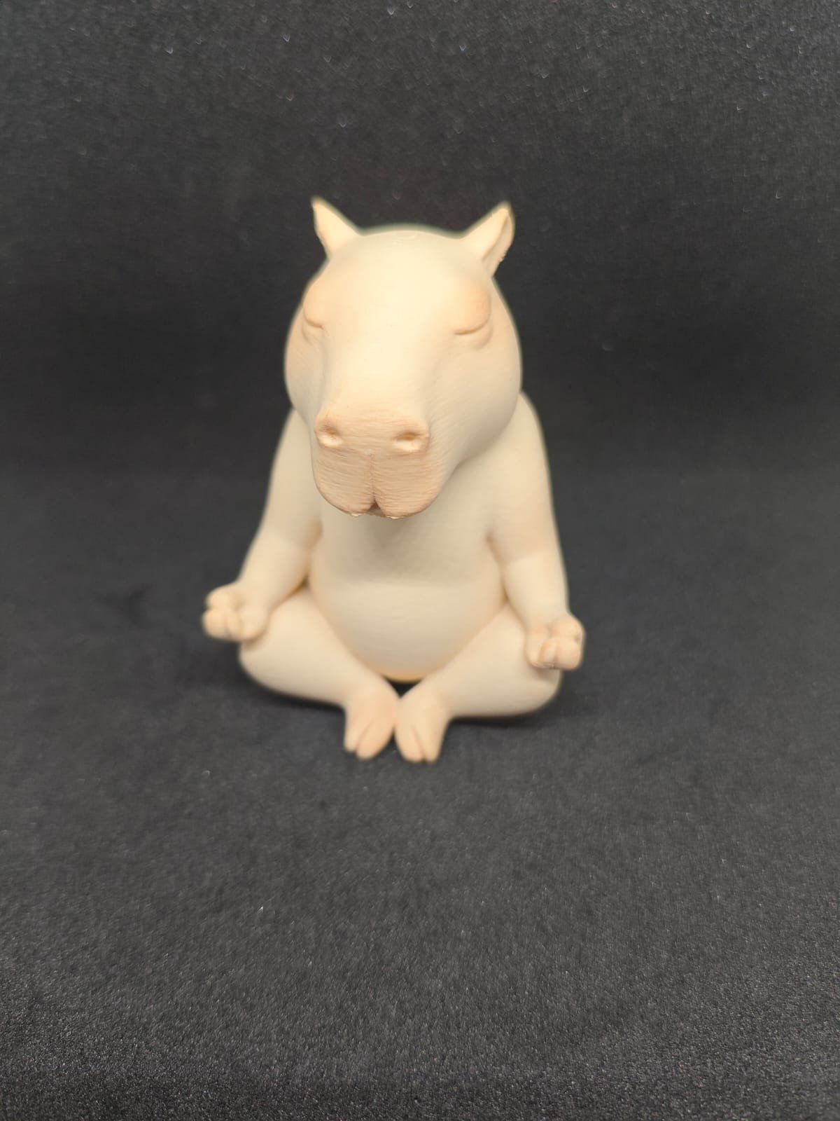 Capivara Zen - Imagem 2