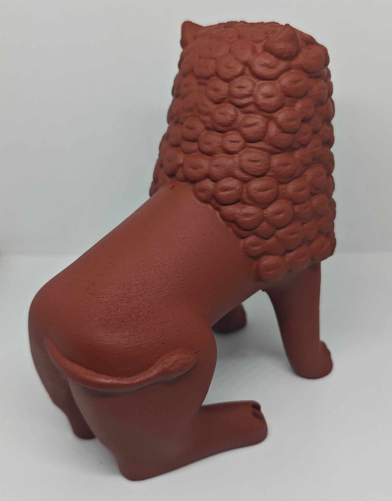 Leão do Norte - Imagem 3