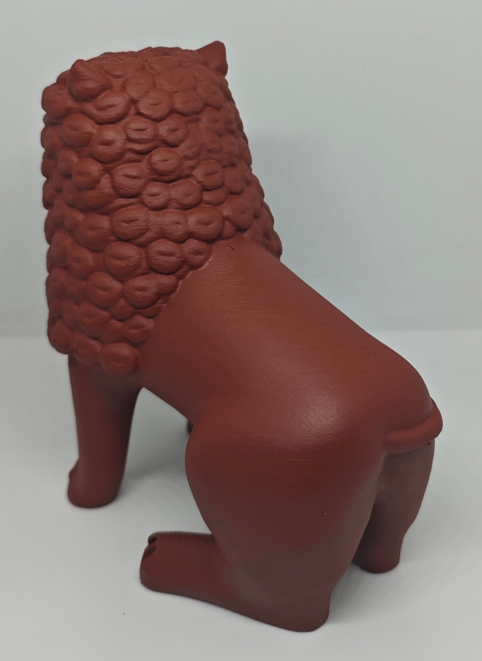 Leão do Norte - Imagem 4